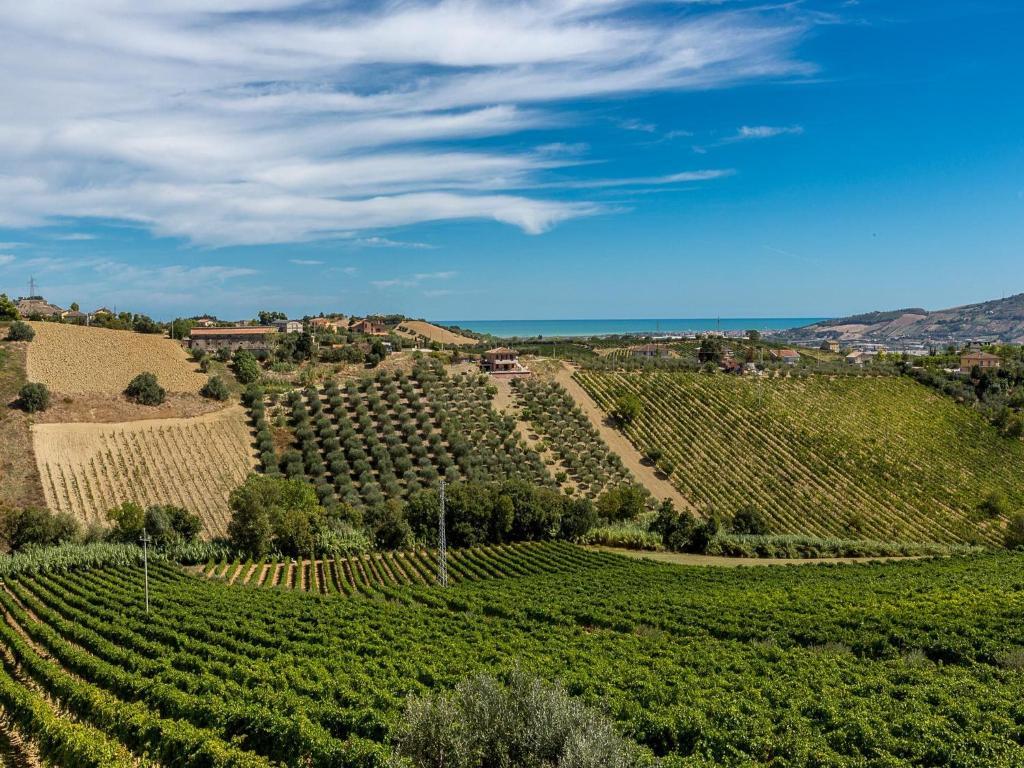 Agriturismo Il Sapore Della Luna Monteprandone Exterior foto